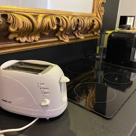 Skyline View Penthouses 公寓 布达佩斯